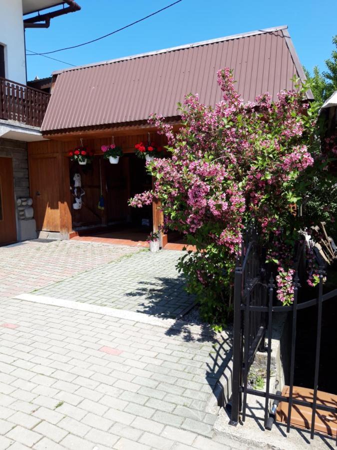 Pod Tatarska Gora Apartment Bialy Dunajec Bagian luar foto